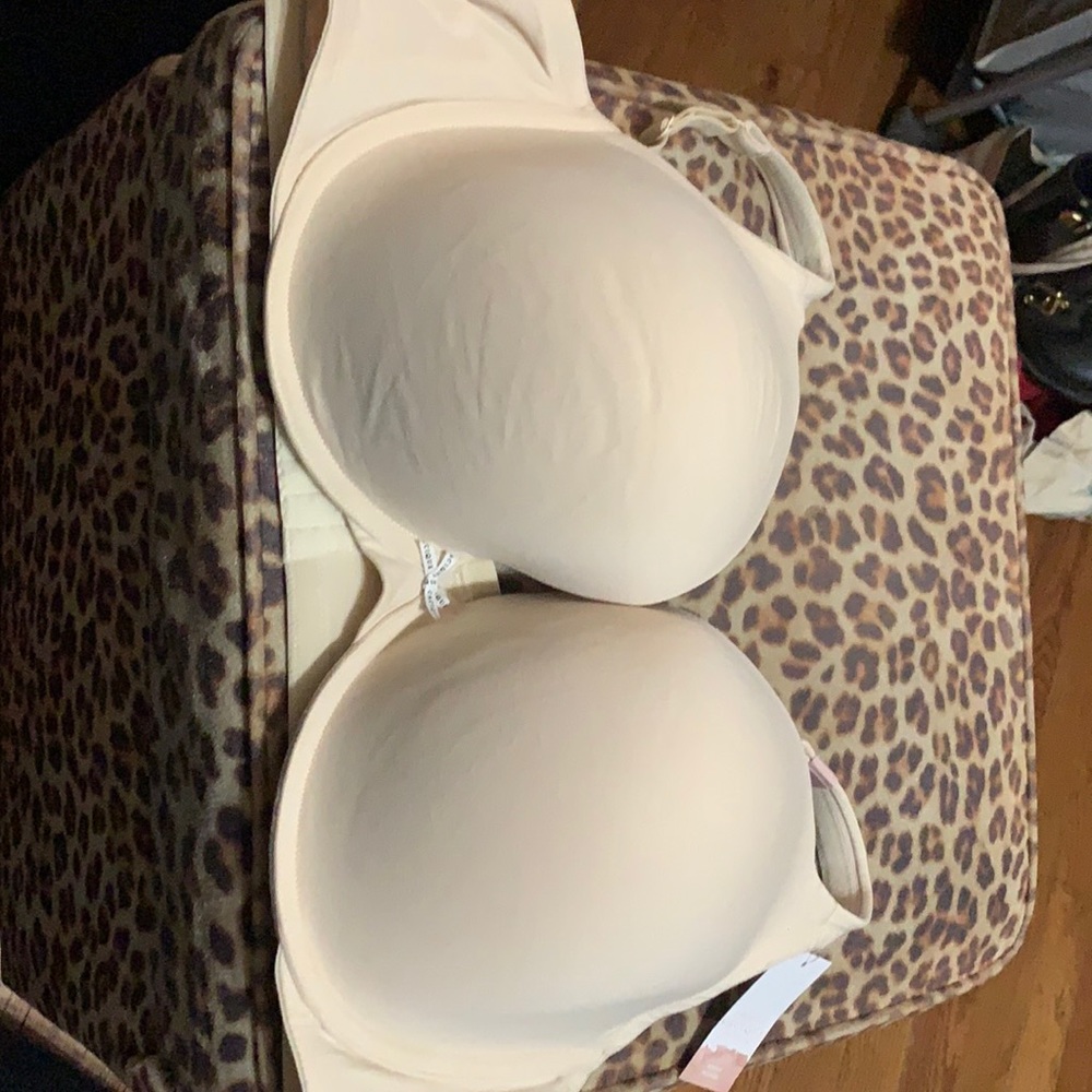 Brand new lane Bryant bra